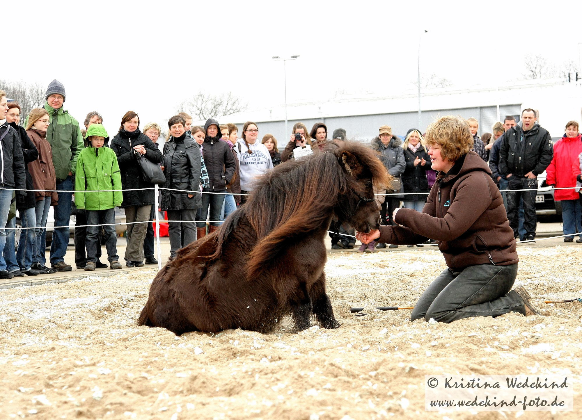 Mikey bei der Eröffnungsfeier vom Krämer Pferdesportversandhaus