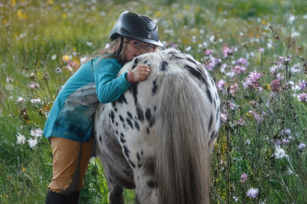 Kinderreitunterricht Nordfriesland mit Pony in der Horsemanshipschule Kirstin Reese
